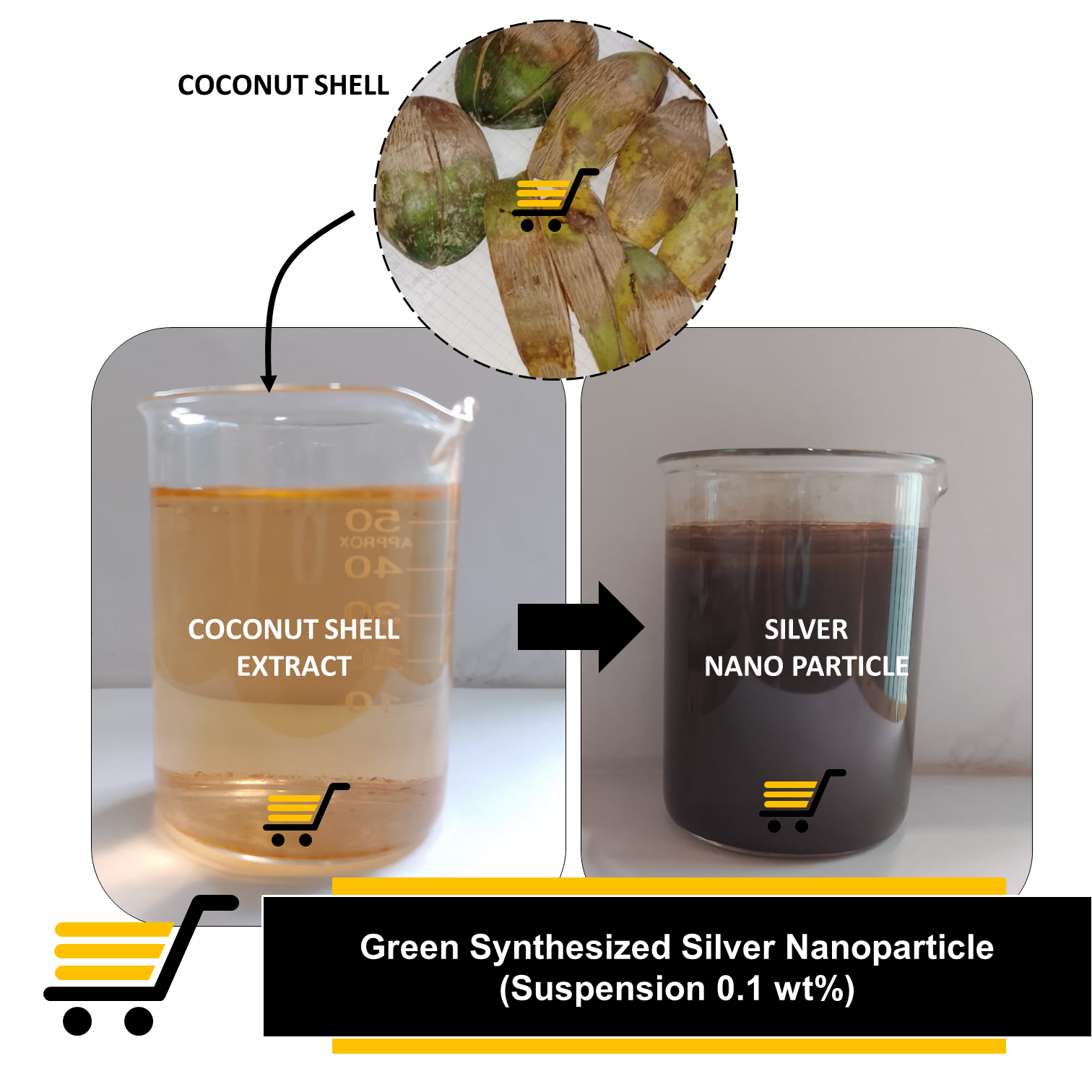 Silver nano particle price in Pakistan