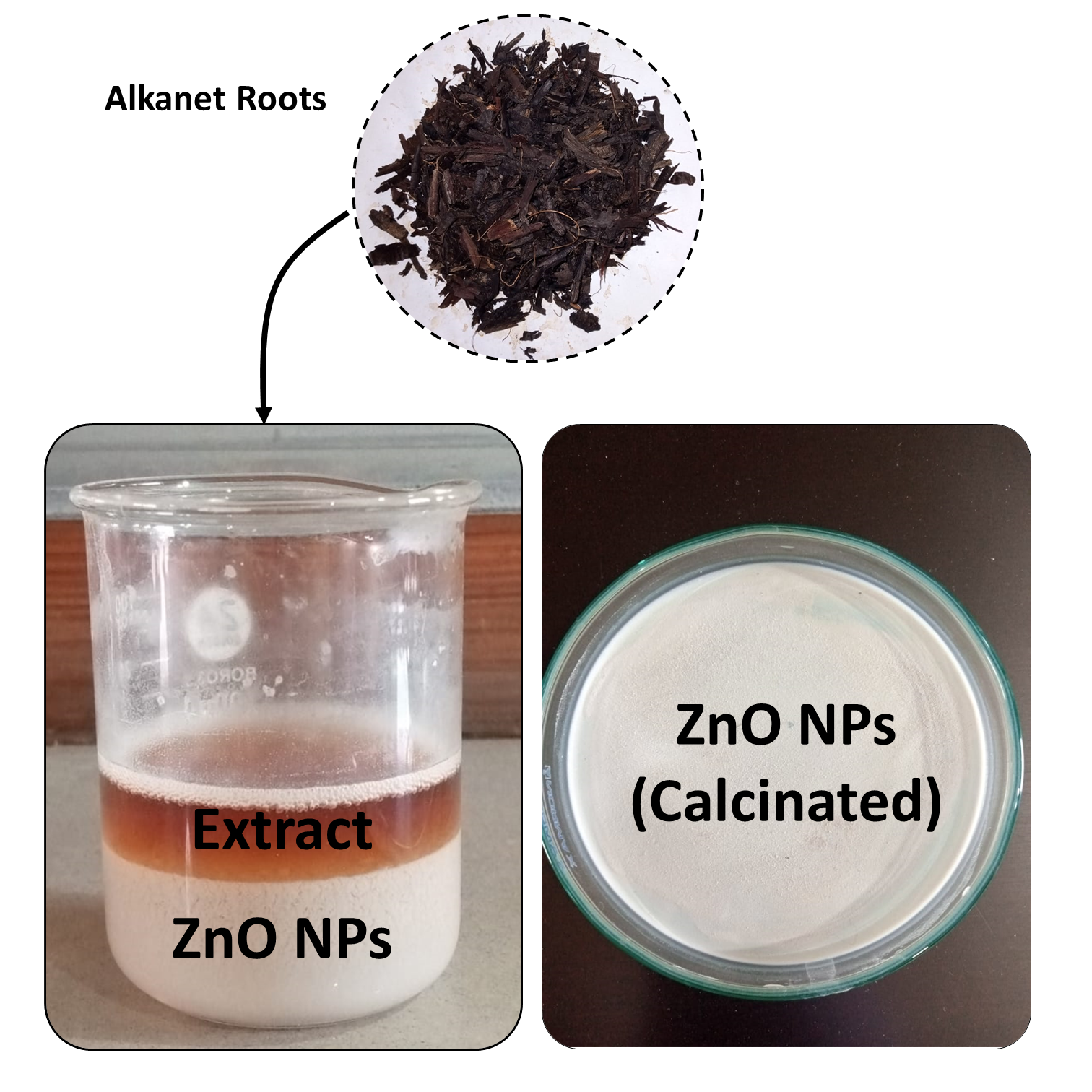 Green synthesized ZnO Nano particles Green synthesized ZnO Nano particles